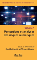 Perceptions et analyses des risques numeriques