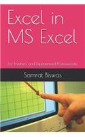 Excel in MS Excel: For Freshers and Experienced Professionals
