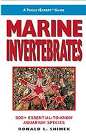 Marine Invertebrates