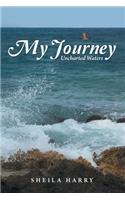 My Journey: Uncharted Waters