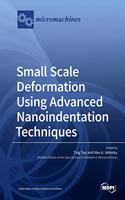 Small Scale Deformation Using Advanced Nanoindentation Techniques