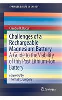 Challenges of a Rechargeable Magnesium Battery
