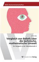 Vergleich von Beliefs über die technische, mathematische Umwelt