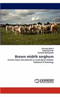 Brown Midrib Sorghum