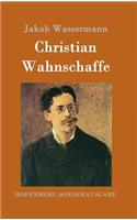 Christian Wahnschaffe: Roman