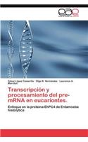 Transcripcion y Procesamiento del Pre-Mrna En Eucariontes.