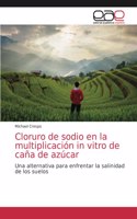 Cloruro de sodio en la multiplicación in vitro de caña de azúcar