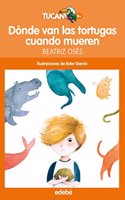 DONDE VAN LAS TORTUGAS CUANDO MUEREN