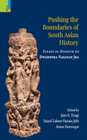 Pushing the Boundaries of South Asian History