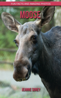 Moose: Fun Facts and Amazing Photos