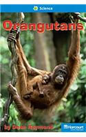 Storytown: On Level Reader Teacher's Guide Grade 2 Orangutans: On Level Reader Teacher's Guide Grade 2 Orangutans