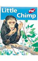 Little Chimp