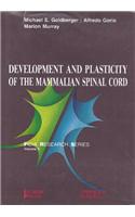 Development and Plasticity of the Mammalian Spinal Cord