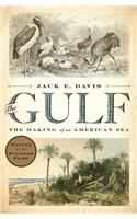 The Gulf: The Making of an American Sea