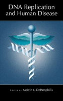 DNA Replication and Human Disease