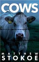 Cows