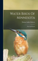 Water Birds Of Minnesota