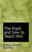 The Pupil and How to Teach Him