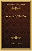 Animals Of The Past