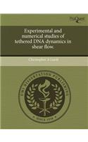 Experimental and Numerical Studies of Tethered DNA Dynamics in Shear Flow.