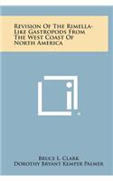Revision of the Rimella-Like Gastropods from the West Coast of North America