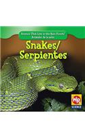 Snakes / Serpientes