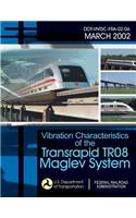 Vibration Characteristics of the Transrapid TR08 Maglev System
