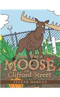 There Was a Moose on Clifford Street