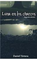 Luna en los charcos