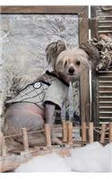 Chinese Crested Dog January Notebook Chinese Crested Dog Record, Log, Diary, Special Memories, to Do List, Academic Notepad, Scrapbook & More