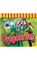 Dragonflies: (Fascinating Insects)