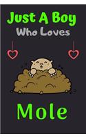Just A Boy Who Loves Mole