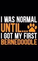 I Was Normal Until I Got My First Bernedoodle