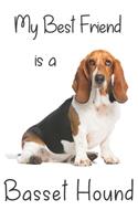 My best Friend is a Basset Hound