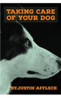 Taking Care of Your Dog: Provide a Protected and Clean Living Environment for Your Dog