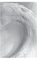 White Swan Notebook
