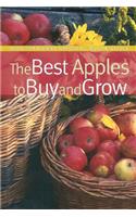 Best Apples to Buy and Grow