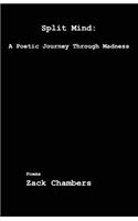 Split Mind: A Poetic Journey Through Madness