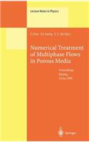 Numerical Treatment of Multiphase Flows in Porous Media: Proceedings of the International Workshop Held at Beijing, China, 2-6 August 1999