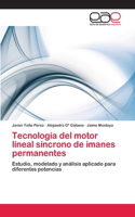 Tecnología del motor lineal síncrono de imanes permanentes