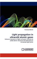 Light Propagation in Ultracold Atomic Gases