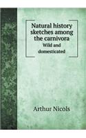 Natural History Sketches Among the Carnivora Wild and Domesticated: (English)