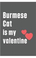 Burmese Cat is my valentine
