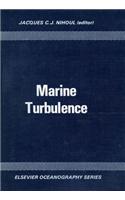 Marine Turbulence