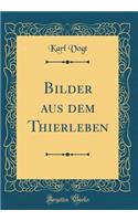 Bilder Aus Dem Thierleben (Classic Reprint)