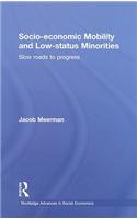 Socio-economic Mobility and Low-status Minorities