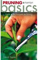 Pruning Basics