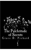 Pulchritude of Secrets