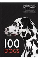 100 Dogs in a Box