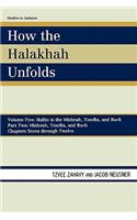 How the Halakhah Unfolds